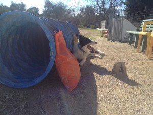 Seeking shade