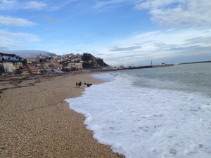 Morning on the beach